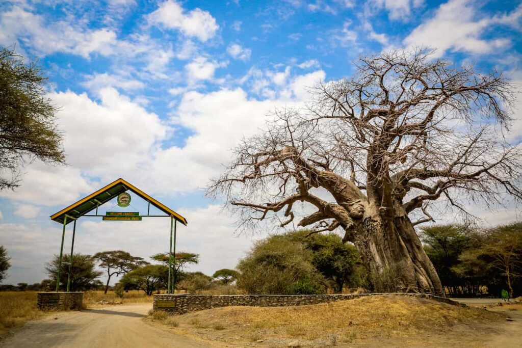 Tarangire-Sign-